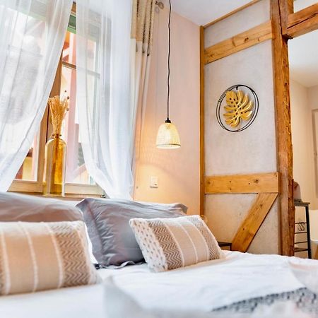 Au Petit Lion, Colmar Centre Garage Gratuit Apartment Exterior photo